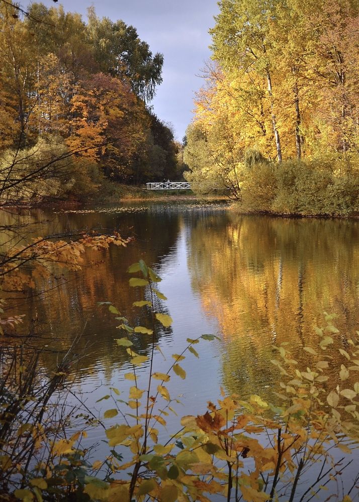 Photograph by Татьяна Зуйкова