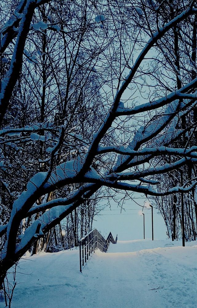 Photograph by Ия (Левина) Энгельгардт