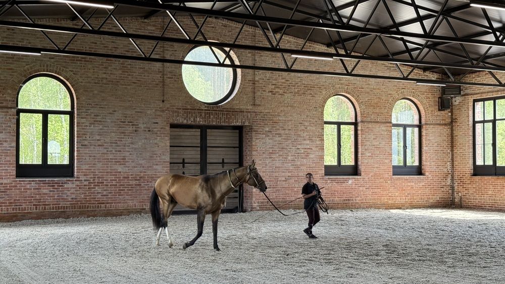 Photograph by Елена Гущина