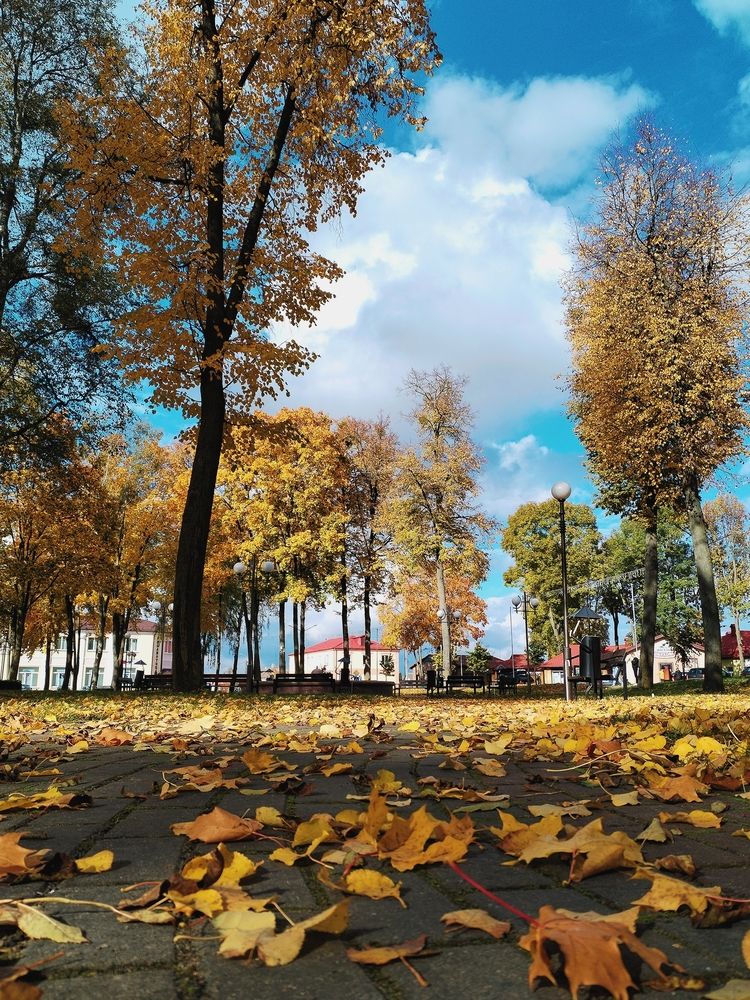 Photograph by Liudmila Pilets