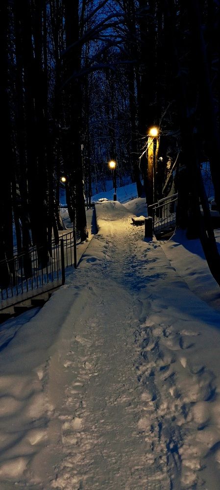 Фотография автора Ия (Левина) Энгельгардт