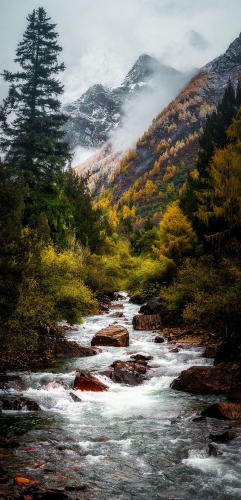 Photograph by Алексей Котлов