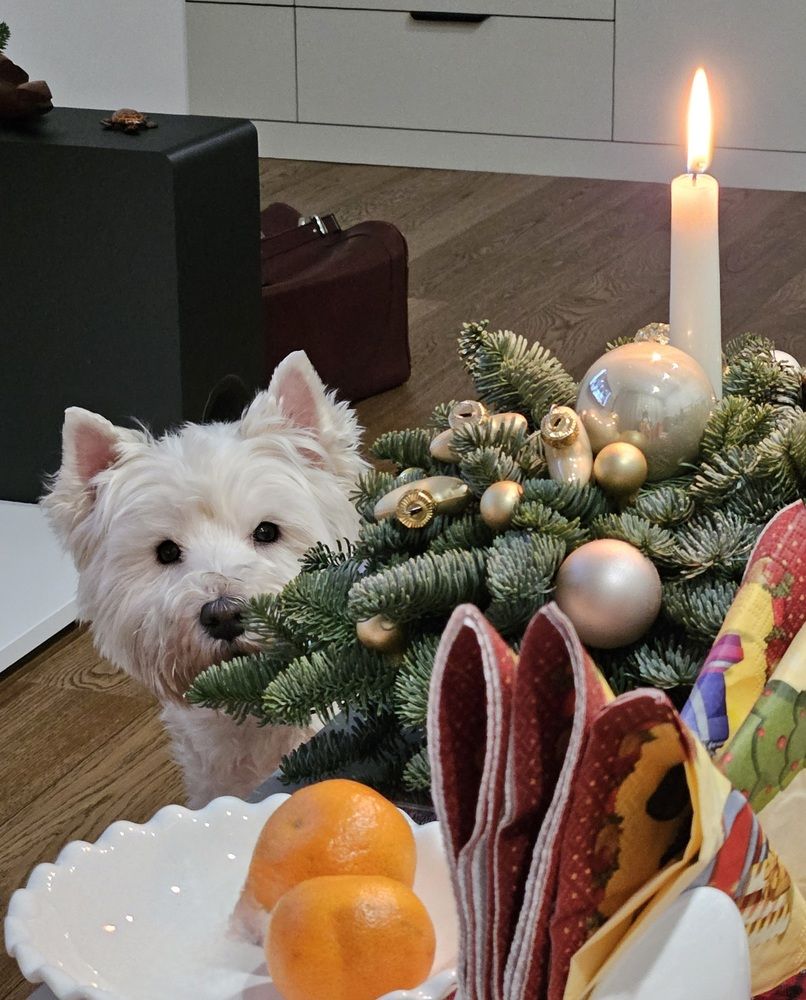 Фотография автора Elena Polonetskaya