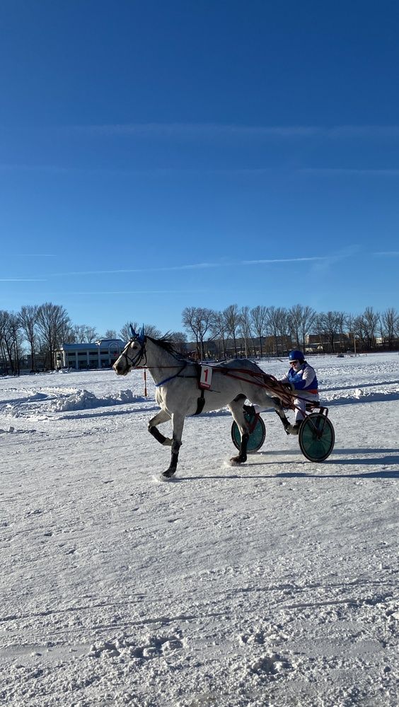 Photograph by Елена Гущина