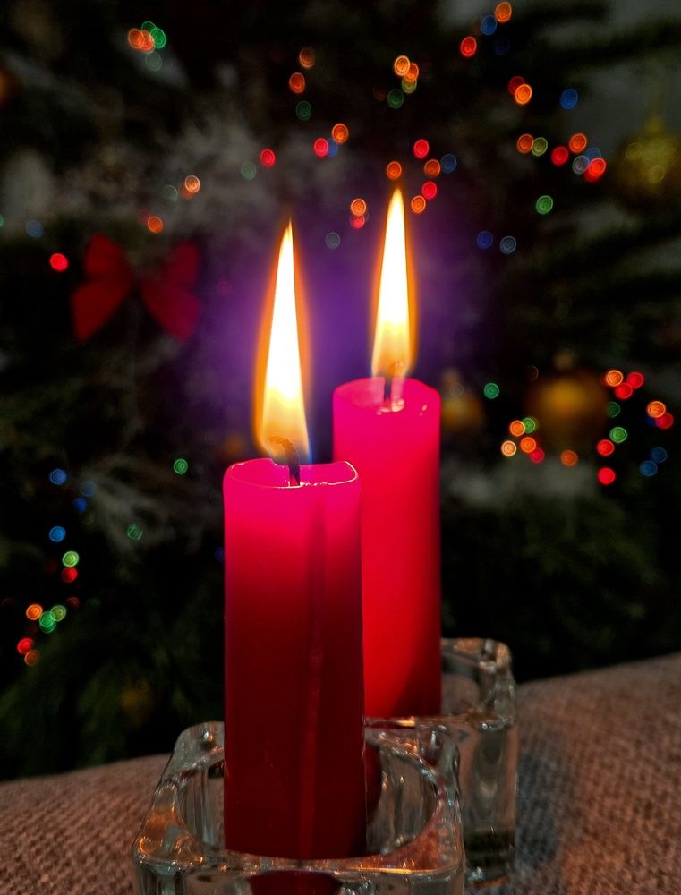 Фотография автора Elena Polonetskaya