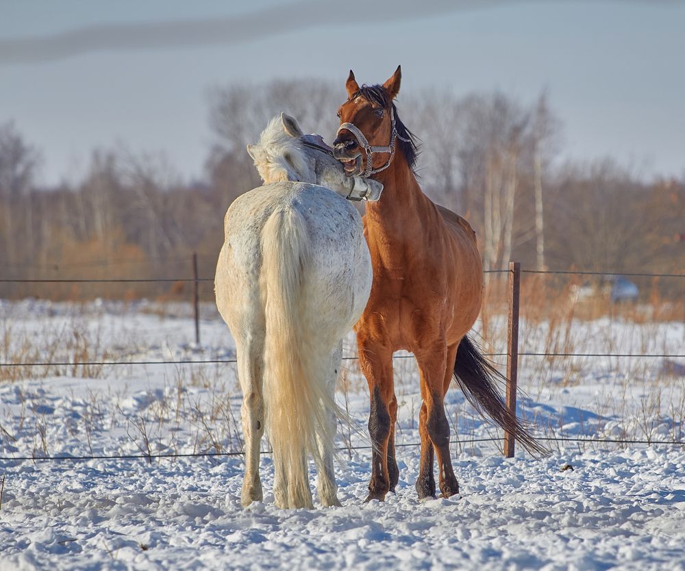 Фотография автора Наталия Мащенко