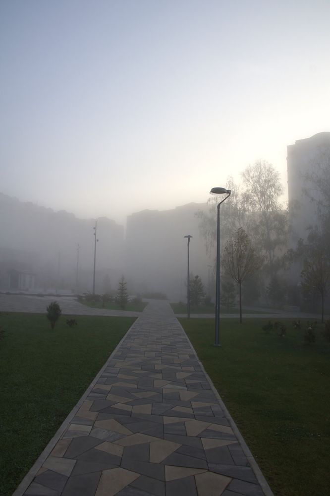 Photograph by Светлана Стрельцова