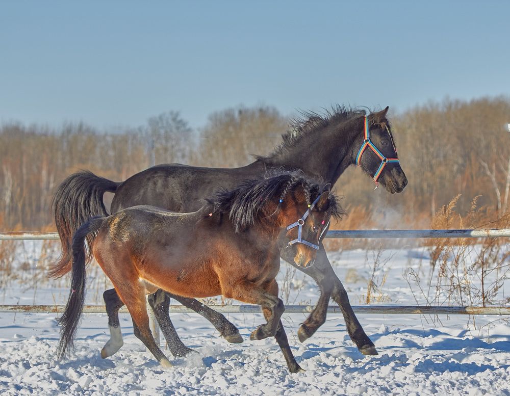 Фотография автора Наталия Мащенко