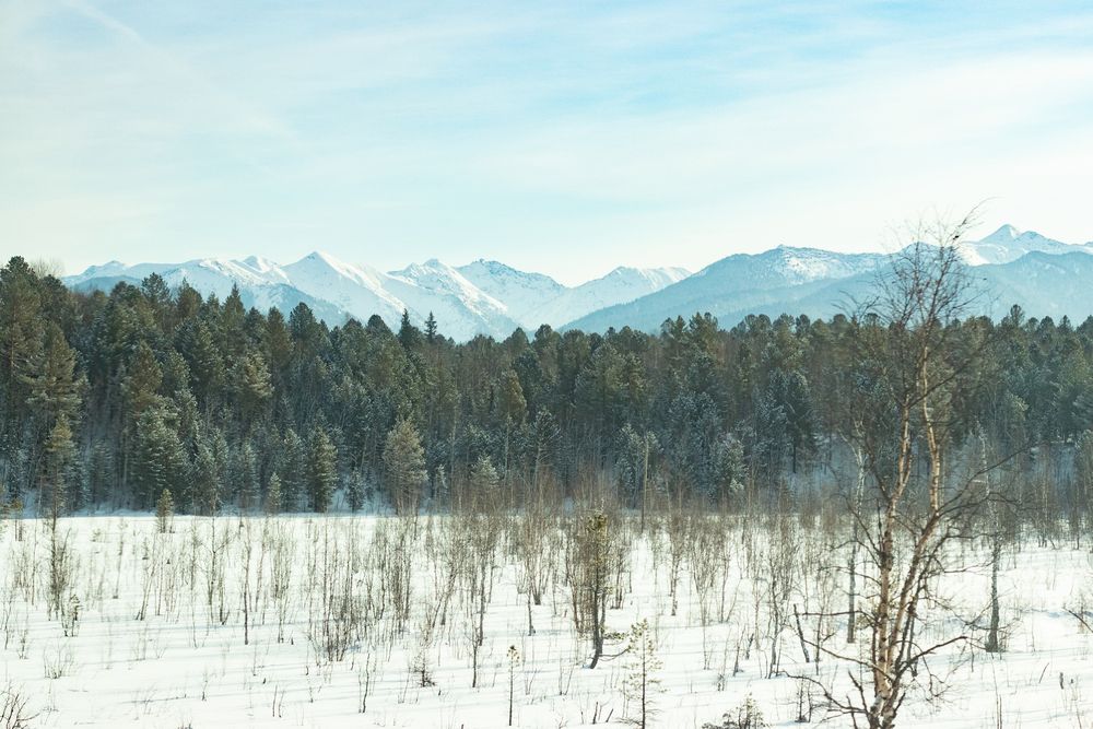 Фотография автора Пешков Егор