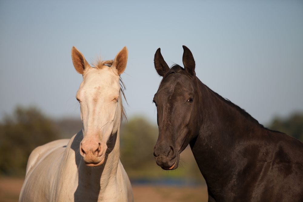 Photograph by Лолита Богачева