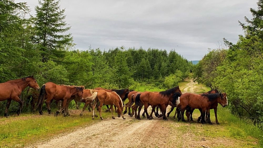 Photograph by Анна Дудко