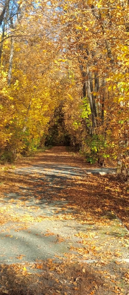 Photograph by Елена Чурынина