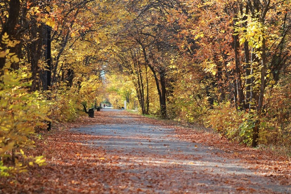 Photograph by Елена Чурынина