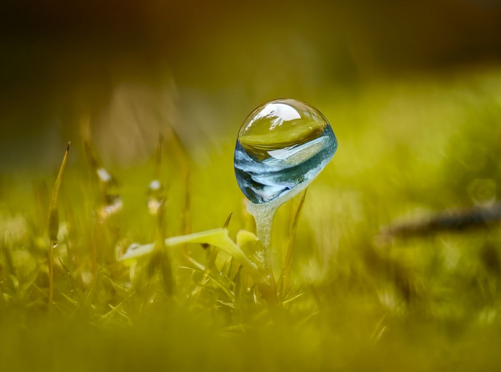 Photograph by Natalia Bolotenkova