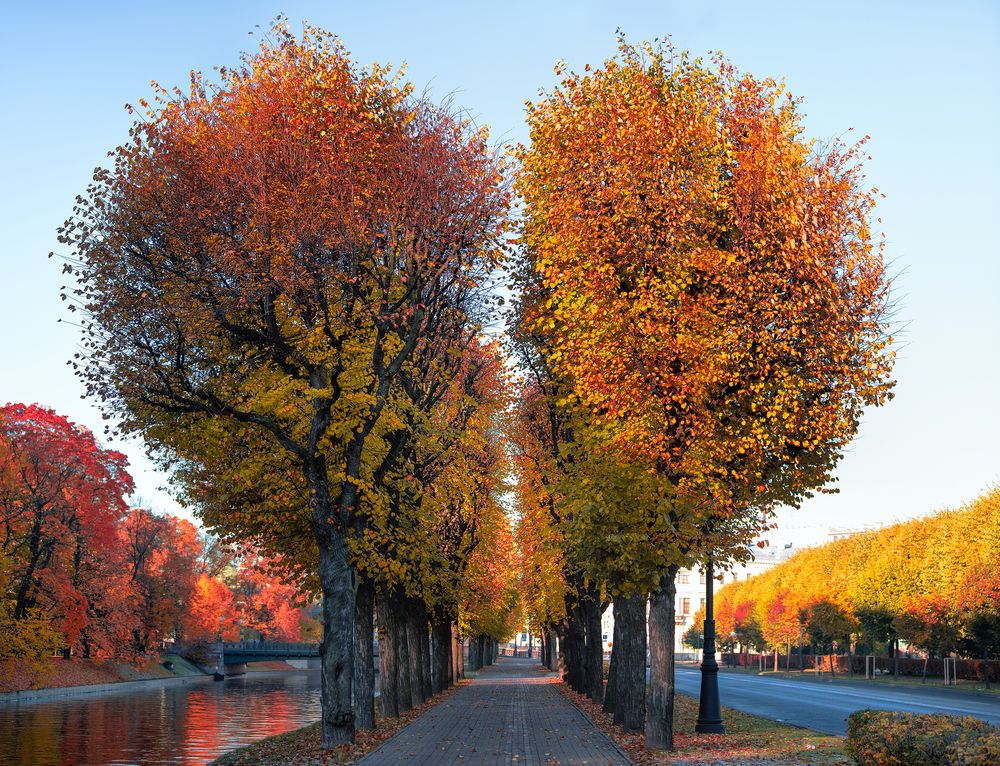 Photograph by Evgeniya Stafeeva