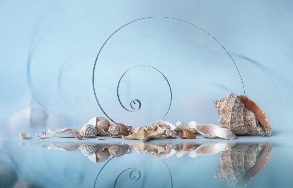 Photograph by Юлия Яремко