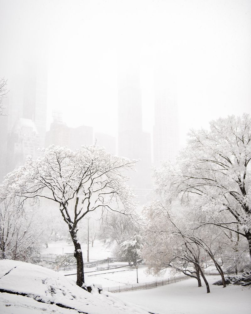 Photograph by Evgeniya Stafeeva