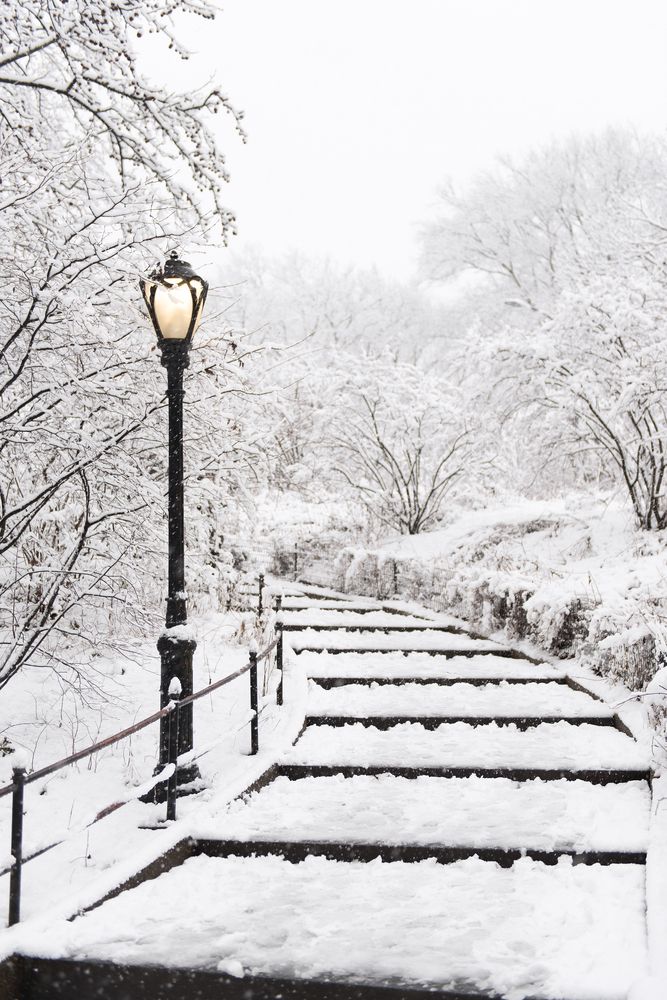 Photograph by Evgeniya Stafeeva