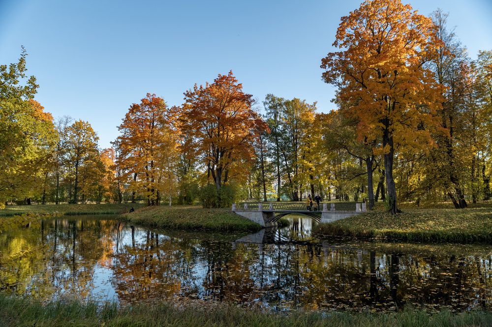 Photograph by Ольга Михайлова