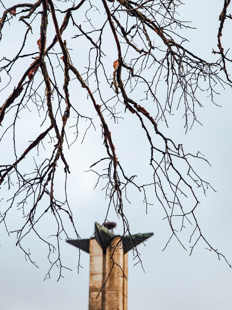 Photograph by Андрей Корякин