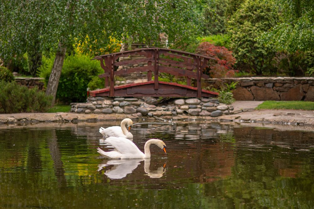 Photograph by Irina Chka