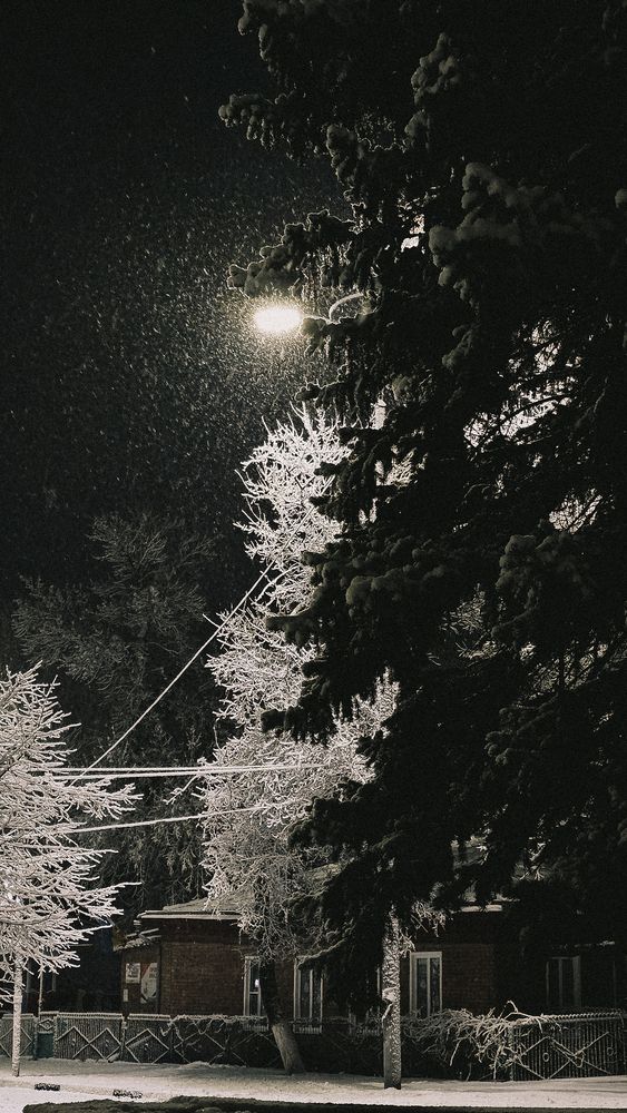 Photograph by Irina Chka