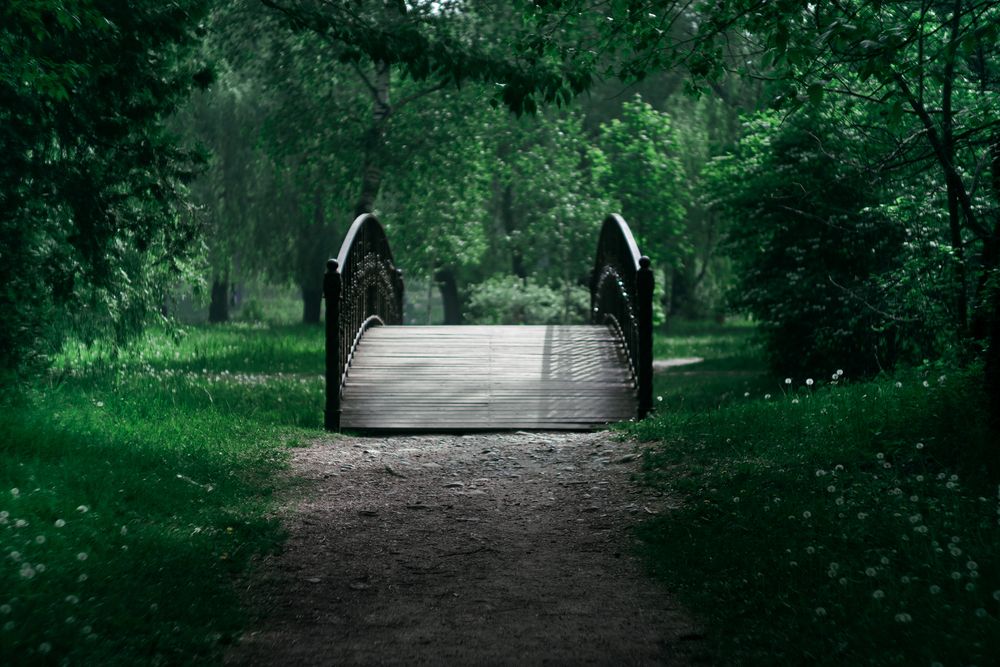 Photograph by Сергей Удовиченко