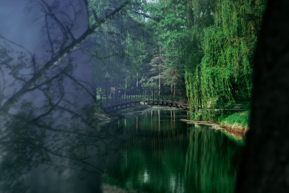 Photograph by Сергей Удовиченко