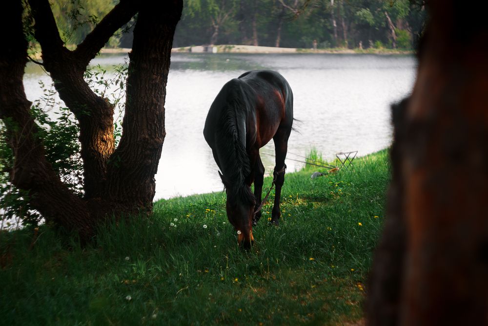 Photograph by Сергей Удовиченко