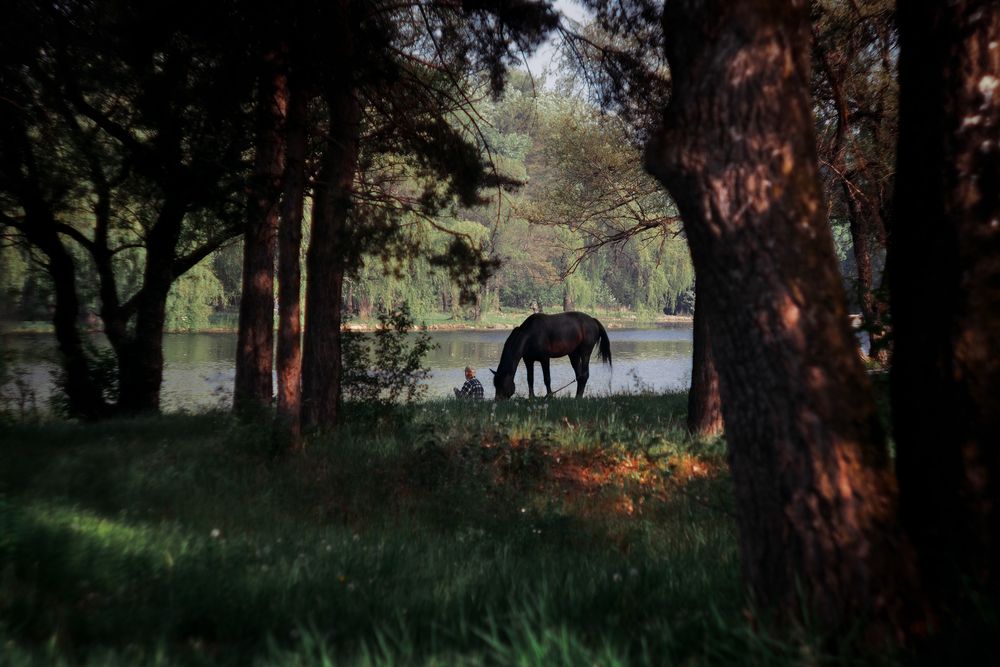 Photograph by Сергей Удовиченко