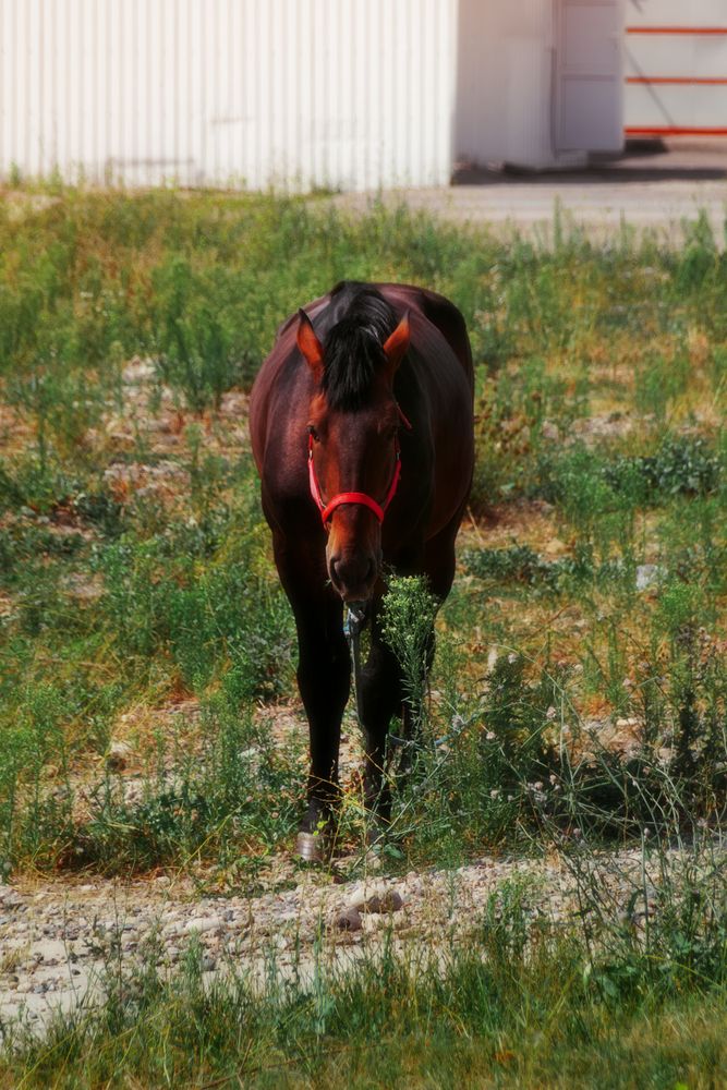Photograph by Сергей Удовиченко