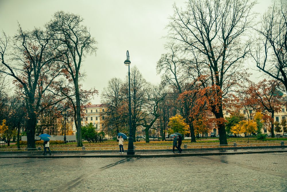 Фотография автора Крутяков Арсений