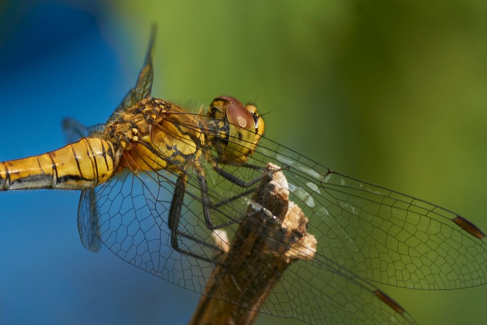 Photograph by сергей воробьёв