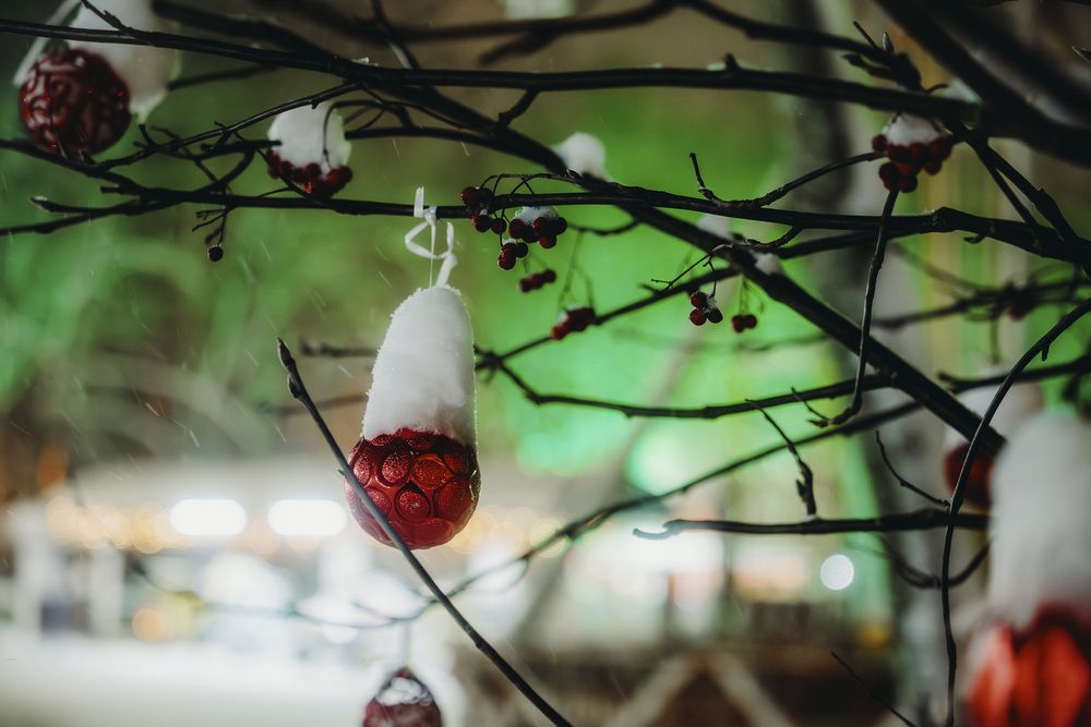 Photograph by Арсений Виноградов