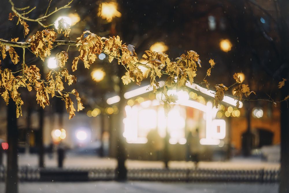 Photograph by Арсений Виноградов