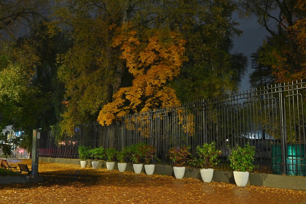 Photograph by Сергей Зубов