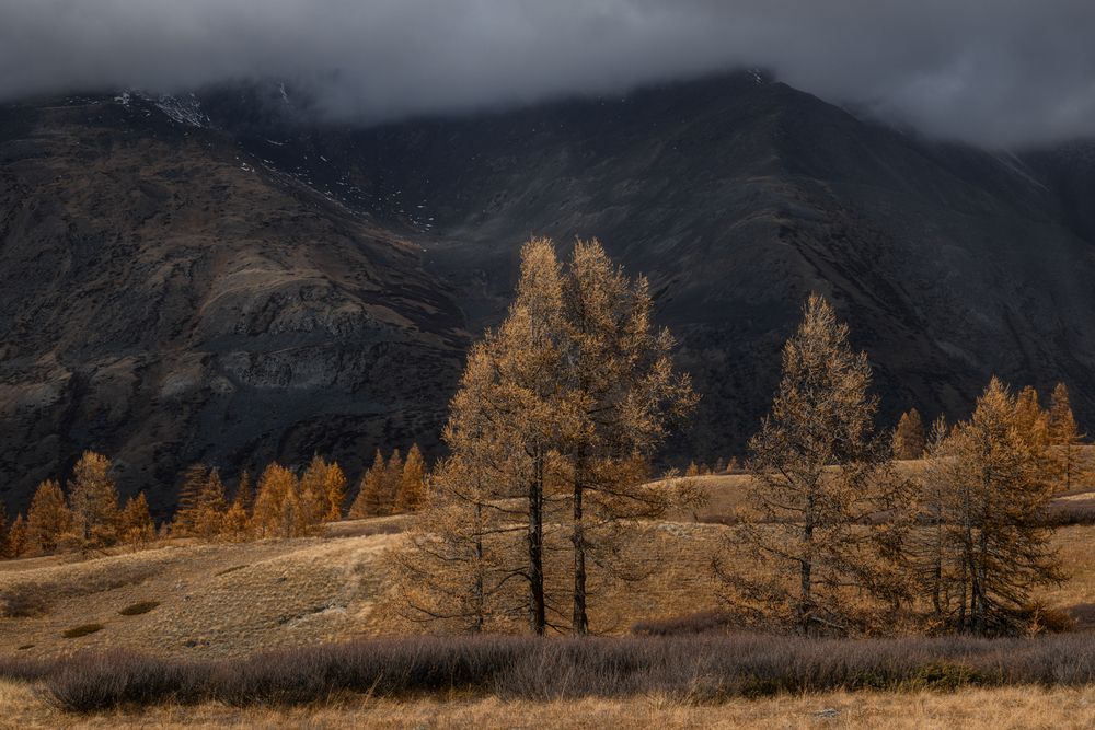 Photograph by Юлия Шустерова