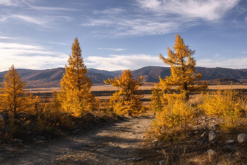 Photograph by Юлия Шустерова