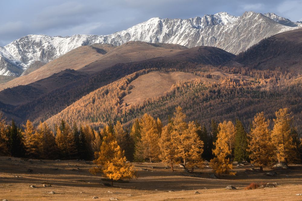 Photograph by Юлия Шустерова