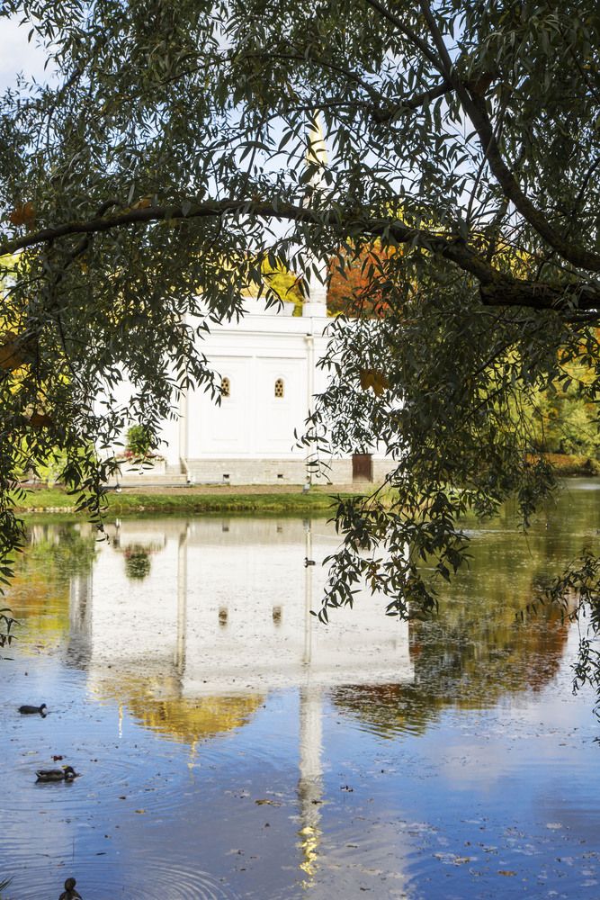 парк в Пушкине