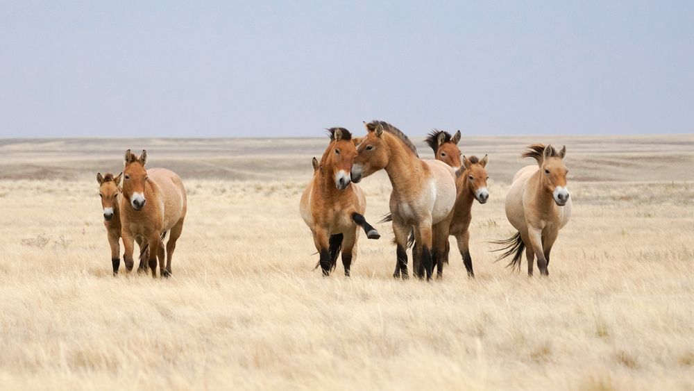 Photograph by Андрей Черкасов