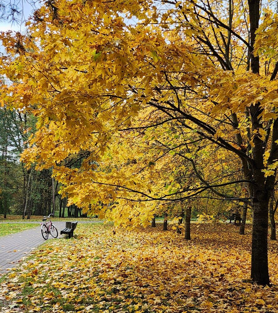 Photograph by Анна Шевцова