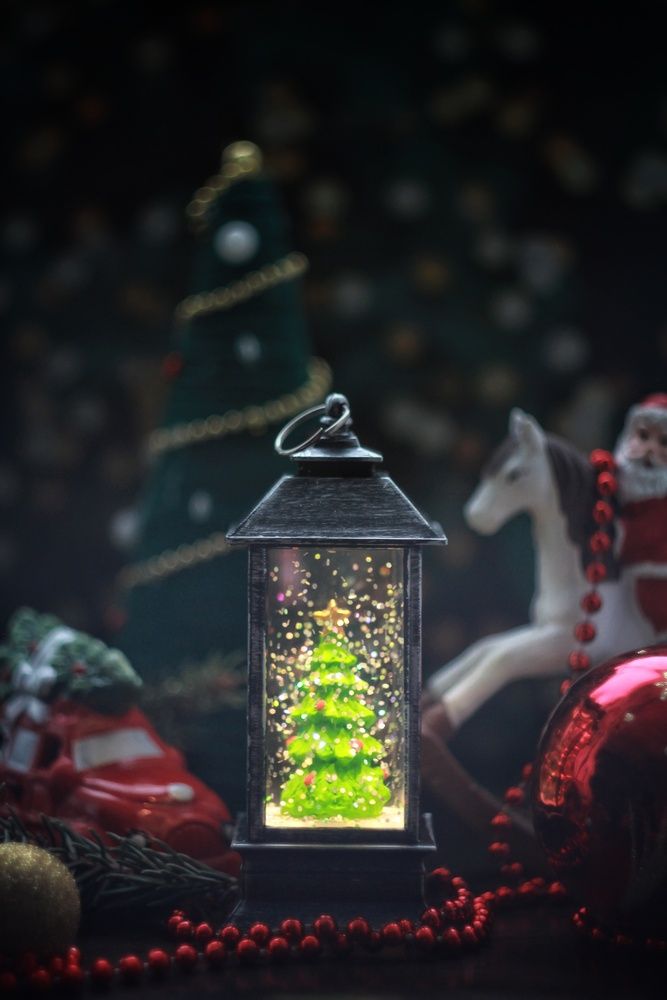 Photograph by AlexaL