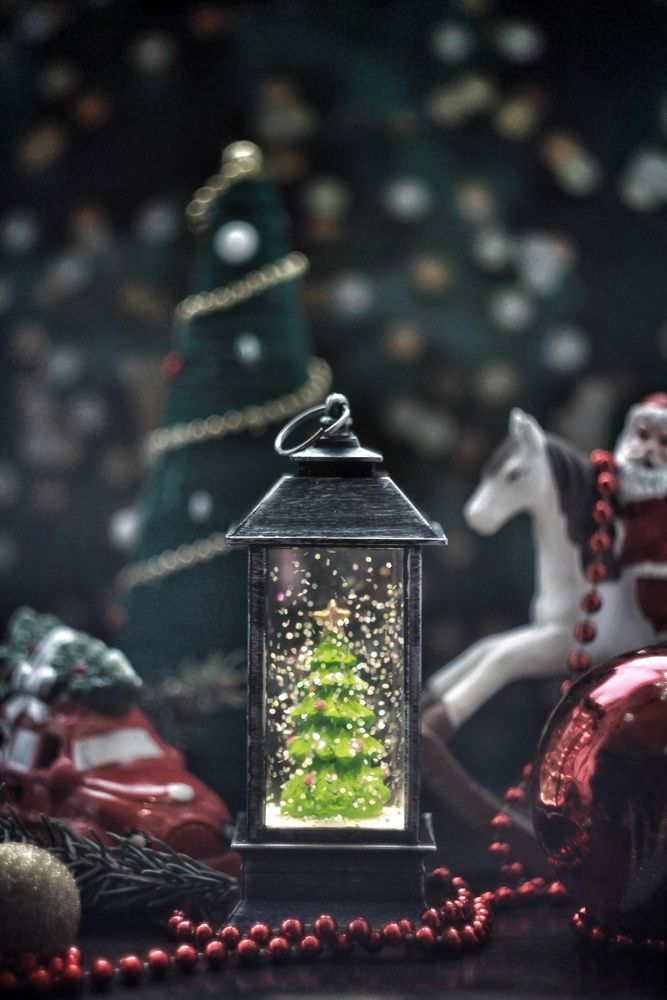 Photograph by AlexaL