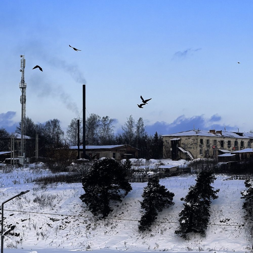 Photograph by Александра Шишулина