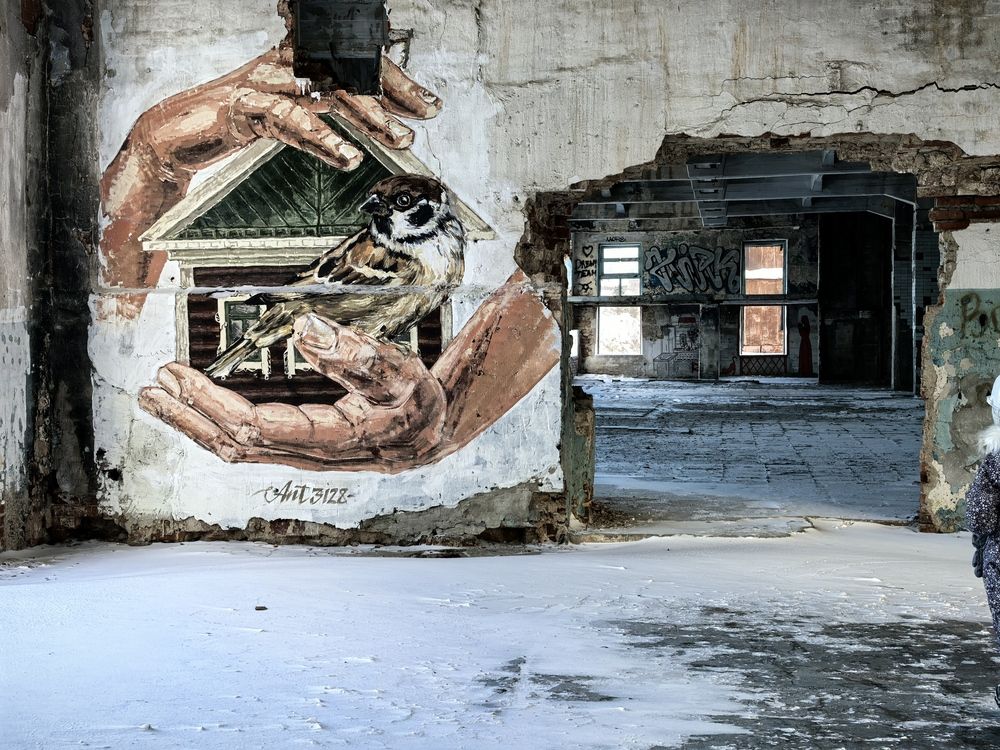 Photograph by Александра Шишулина