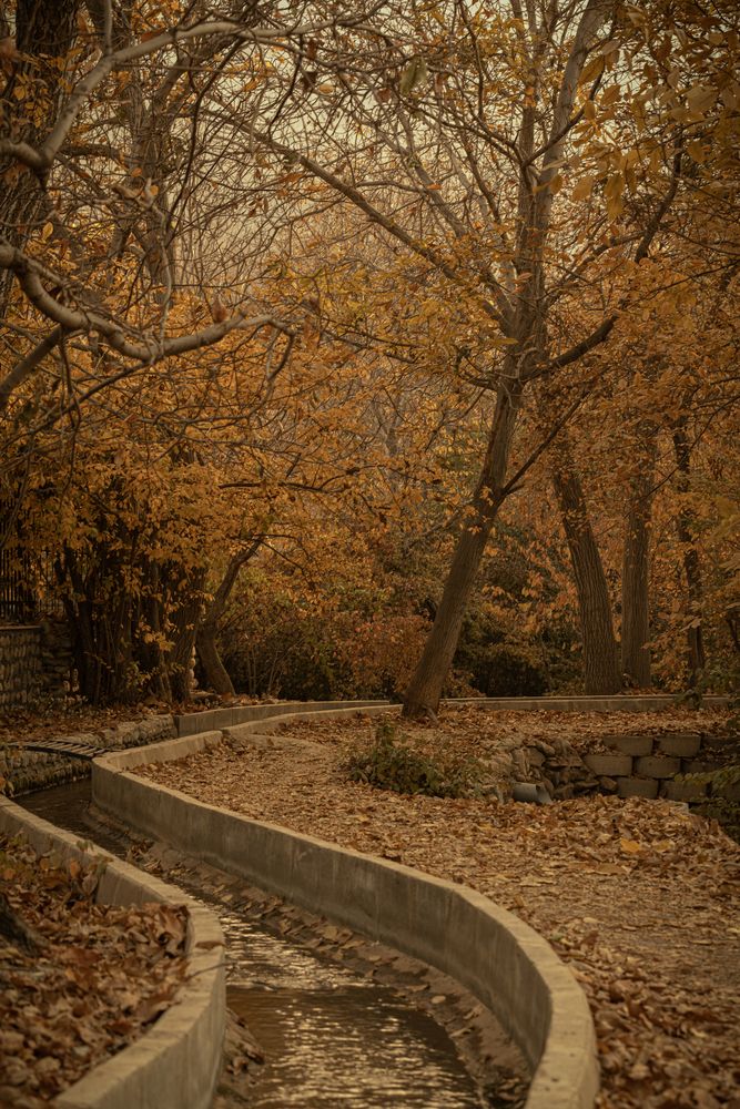 Photograph by Romina Moniri