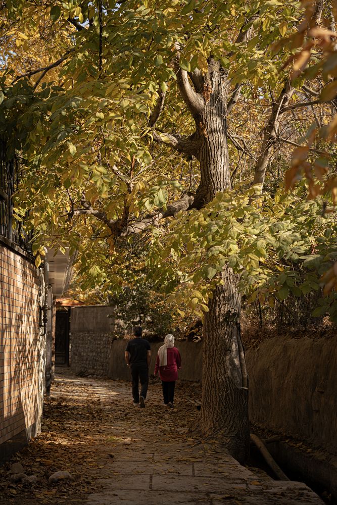 Photograph by Romina Moniri