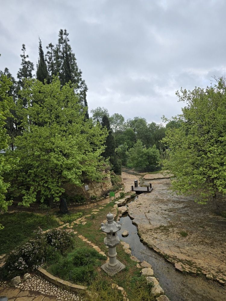 Photograph by Yulia Rotbach