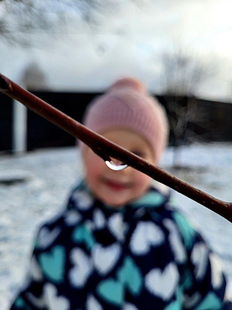Photograph by Полина Палий